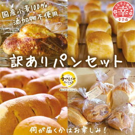 【ふるさと納税】国産小麦粉100%使用!食品添加物不使用! 天然酵母・自社培養酵母の【訳ありパン】詰め合わせセット - 国産 国産小麦 パン 手作り てづくり 美味しい おいしい 訳あり 無添加 天然酵母 冷凍 おやつ ドライフルーツ ナッツ 埼玉県 幸手市