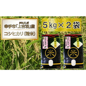 yӂ邳Ɣ[Łzyߘa7NYāznbs[(Ks)ŃbL[(gH)Ȃ RVqJ10kg -  Ђ _ ͂   ʌ Ks