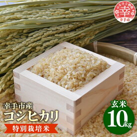 【ふるさと納税】【令和7年産】有機肥料100％ 埼玉県幸手市産特別栽培コシヒカリ 玄米10kg -コシヒカリ こしひかり 米 玄米 10kg 有機肥料 特別栽培幸手市産 埼玉県 幸手市