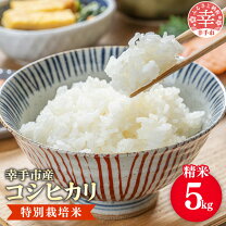 楽天市場】埼玉 新米 こしひかりの通販