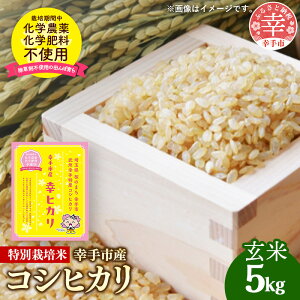 yӂ邳Ɣ[Łzyߘa7NYz_Ew엿͔| ʌKsYʍ͔|RVqJ uKqJv5kg - VĔ RVqJ Ђ   5kg ʍ͔| KsY ʌ 