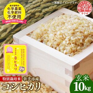 yӂ邳Ɣ[Łzyߘa7NYz_Ew엿͔| ʌKsYʍ͔|RVqJ uKqJv10kg - VĔ RVqJ Ђ   10kg ʍ͔| KsY ʌ