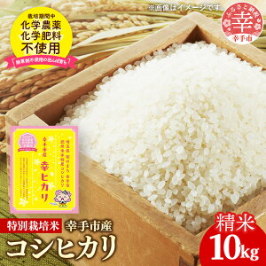 yӂ邳Ɣ[Łzyߘa7NYz_Ew엿͔| ʌKsYʍ͔|RVqJ uKqJv10kg - VĔ RVqJ Ђ   10kg ʍ͔| KsY ʌ