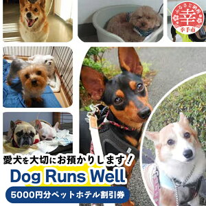 yӂ邳Ɣ[Łzȕhvybgzehp - `Pbg ybgze h  aT[rX   Dog Runs Well hbOYEF ʌ Ks