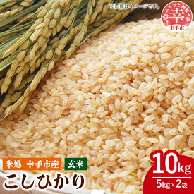 【ふるさと納税】令和7年幸手産 こしひかり【玄米】5kg×2袋 - コシヒカリ 玄米 10kg 令和7年産 埼玉県 幸手市 幸手市産
