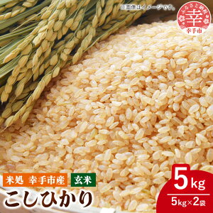 yӂ邳Ɣ[Łzߘa7NKY Ђyāz5kg×1 - RVqJ  5kg ߘa7NY ʌ Ks KsY