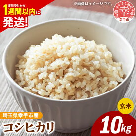 【ふるさと納税】令和7年産 幸手市産 コシヒカリ 玄米10kg 色彩選別済 Brown Rice - お米 米 こしひかり 玄米 10kg 埼玉県 幸手市