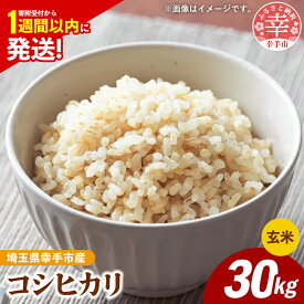 【ふるさと納税】令和7年産 幸手市産 コシヒカリ 玄米30kg 色彩選別済 Brown Rice - お米 米 こしひかり 玄米 30kg 埼玉県 幸手市