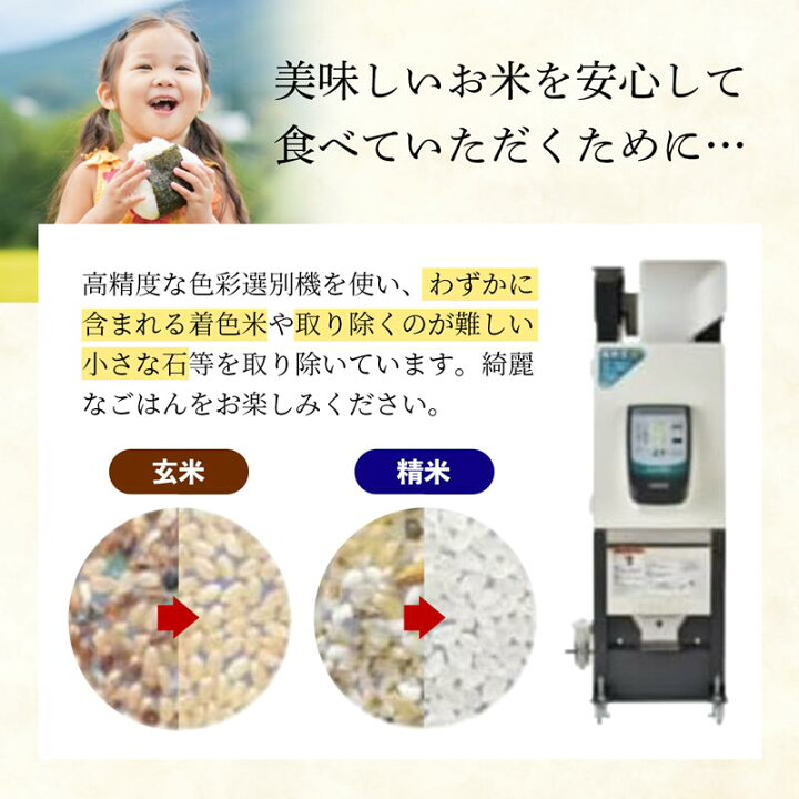楽天市場】【ふるさと納税】令和6年産 幸手市産 コシヒカリ 白米27kg  