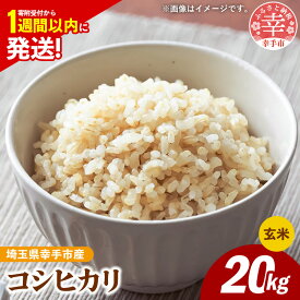 【ふるさと納税】令和7年産 幸手市産 コシヒカリ 玄米20kg 色彩選別済 Brown Rice - お米 米 こしひかり 玄米 20kg 埼玉県 幸手市