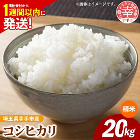 【ふるさと納税】令和7年産 幸手市産 コシヒカリ 白米20kg 色彩選別済 White Rice- お米 米 こしひかり 精米 20kg 埼玉県 幸手市