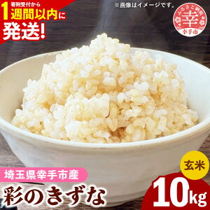 yӂ邳Ɣ[Łzߘa7NYyʂ̂ȁz10kg FʑIʍ Brown Rice -   ͂  10kg ʌ Ks