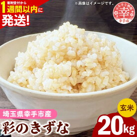 【ふるさと納税】令和7年産【彩のきずな】玄米20kg 色彩選別済 Brown Rice - お米 米 ごはん 玄米 20kg 埼玉県 幸手市