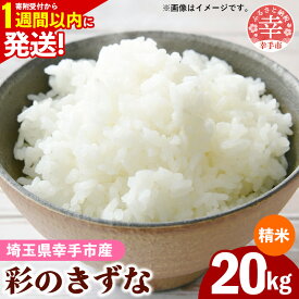 【ふるさと納税】令和7年産【彩のきずな】白米20kg 色彩選別済 White Rice- お米 米 ごはん 精米 20kg 埼玉県 幸手市