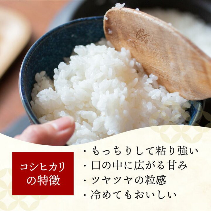 楽天市場】【ふるさと納税】令和7年産 幸手市産 コシヒカリ 玄米30kg 