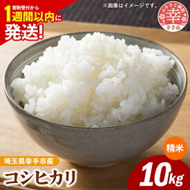 【ふるさと納税】令和7年産 幸手市産 コシヒカリ 白米10kg 色彩選別済 White Rice- お米 米 こしひかり 精米 10kg 埼玉県 幸手市