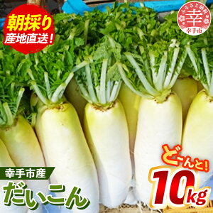 yӂ邳Ɣ[Łzy_zKsY 卪 10kg - ̂ _CR  Yn  xW^u   ~ ϕ  ł   ʌ Ks