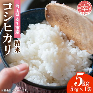 yӂ邳Ɣ[ŁzʌKsY_@BZ^[̃RVqJ5kg - Ђ   H   KsY ʌ Ks