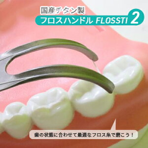 yӂ邳Ɣ[ŁzY tXnh FLOSSTI2 e G pi