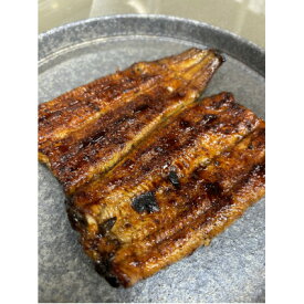 【ふるさと納税】国産うなぎ蒲焼　2パック【配送不可地域：離島】【1625059】