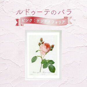 yӂ邳Ɣ[ŁzyWN[ŉzhD[ẽoisNFPeBtHAj3TCYI@y11246-0088E331E332z