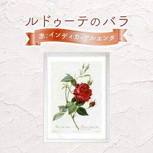 yӂ邳Ɣ[ŁzyWN[ŉzhD[ẽoiԁFCfBJENG^j3TCYI@y11246-0090E335E336z
