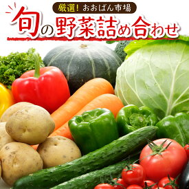 【ふるさと納税】厳選・「おおばん市場」旬の野菜詰め合わせ　【11246-0038】