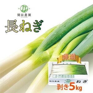 yӂ邳Ɣ[Łz֓c_́uI@˂ijv5kg@y11246-0113z