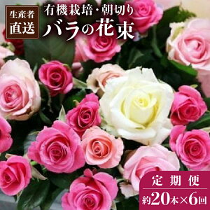 yӂ邳Ɣ[Łzy20{×6JzYҒ@L@͔|ň؂ỏԑ(ԁEsNEFKN~bNX) Ԃ̒ R_ ʌ s y11246-0076z