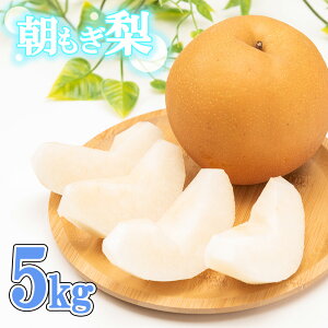 yӂ邳Ɣ[Łzy2026N s\z100N̗jII@ACt@[́uvKELEÂ 5kg@y11246-0353z