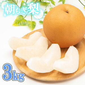 yӂ邳Ɣ[Łz100N̗jII@ACt@[́uvKELEÂ 3kg@y11246-0352z