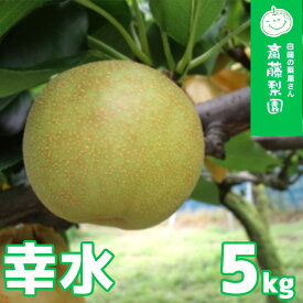 【ふるさと納税】【2026年発送分 先行予約】白岡・下野田 斎藤さんちの美味しい梨 幸水　約5kg　【11246-0360】
