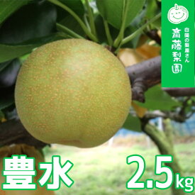 【ふるさと納税】【2026年発送分 先行予約】白岡・下野田 斎藤さんちの美味しい梨　豊水　約2.5kg　【11246-0361】