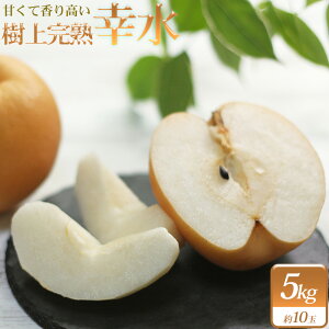 yӂ邳Ɣ[Łzy2026N s\zΉʎ̎㊮n@K@5kg@y11246-0350z 