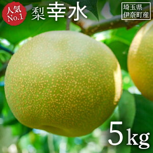 �y�ӂ邳�Ɣ[�Łz���w�K���x �I�ׂ���e�� 3kg 5kg 2026�N�Y��s�\�� �t���[�c��s�\�� �t���[�c ��ʌ��ɓޒ��Y