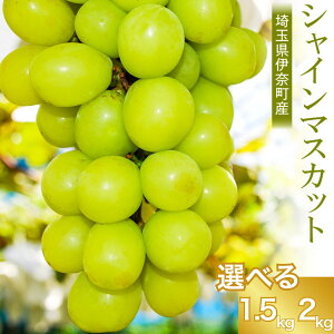 yӂ邳Ɣ[Łzs\ 2025NY ʌɓޒY VC}XJbg Iׂe 1.5kg 2.0kg Rݔ_ uhE Ԃǂ  ʕ t[c ʌ t[cs\ ߘa7Ns\