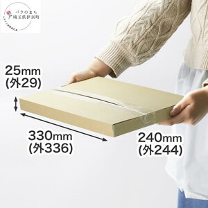 yӂ邳Ɣ[ŁzyA4/3cm/ʒzԃ_{[iNbN|Xgőj20