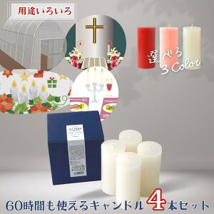 yӂ邳Ɣ[Łz60ԂgLhZbg 490g×4{ O[Lh AhxgLh