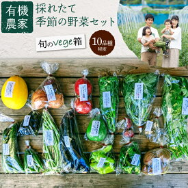 【ふるさと納税】有機農家の採れたて季節野菜のセット［旬のvege箱］