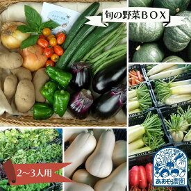 【ふるさと納税】毎日の食卓に季節の野菜 「あおぞら農園」の旬の野菜BOX 2～3人用 7～10種類