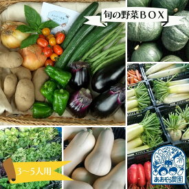 【ふるさと納税】毎日の食卓に季節の野菜 「あおぞら農園」の旬の野菜BOX 3～5人用 10～15種類
