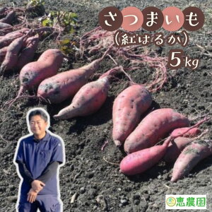 yӂ邳Ɣ[Łzb_ ܂i g͂邩 j5kg ʌY ɓޒY ܈ Tc}C ׂɂ͂邩