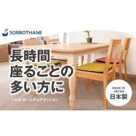 【ふるさと納税】チェアクッション ソルボセイン ソルボ ホームチェアクッション 衝撃吸収 体圧分散 長時間座る方に 足 膝 腰 負担軽減
