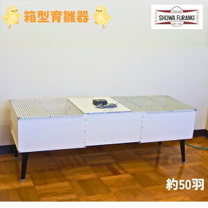 yӂ邳Ɣ[Łz^琗(50H) qR ۈ Ђ悱 琗 炷 琗{bNX 琗 Y {