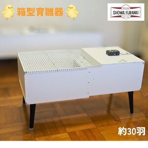 yӂ邳Ɣ[Łz^琗(30H) qR ۈ Ђ悱 琗 炷 琗{bNX 琗 Y {