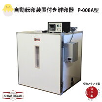 楽天市場】p－008a型 昭和フランキの通販