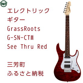 【ふるさと納税】エレクトリックギター G-SN-CTM See Thru Red