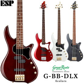 【ふるさと納税】G-BB-DLX FAA-004
