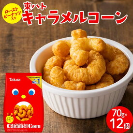 【ふるさと納税】東ハト キャラメルコーン 70g×12個 スナック菓子 FAA-205