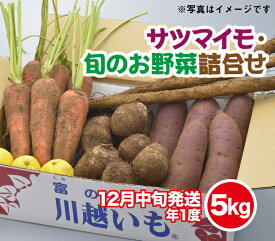 【ふるさと納税】伝統的な「落ち葉堆肥農法」で育てた野菜セット 5kg程度（年に一度12月16日頃発送）冬野菜 やさい ベジタブル おまかせ 落葉 FAA-028